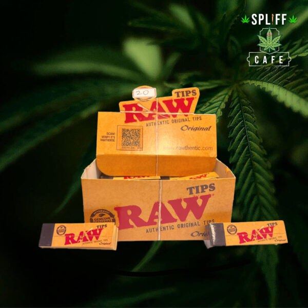 PAPER 2-01 (1) Raw Rolling Tips