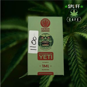 vape 10 design-01 Awaken Etched 1ml Watermelon Yeti Disposable Vape