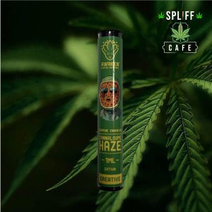 Awaken Blaster Cartridge 1ml Cannaloupe Haze